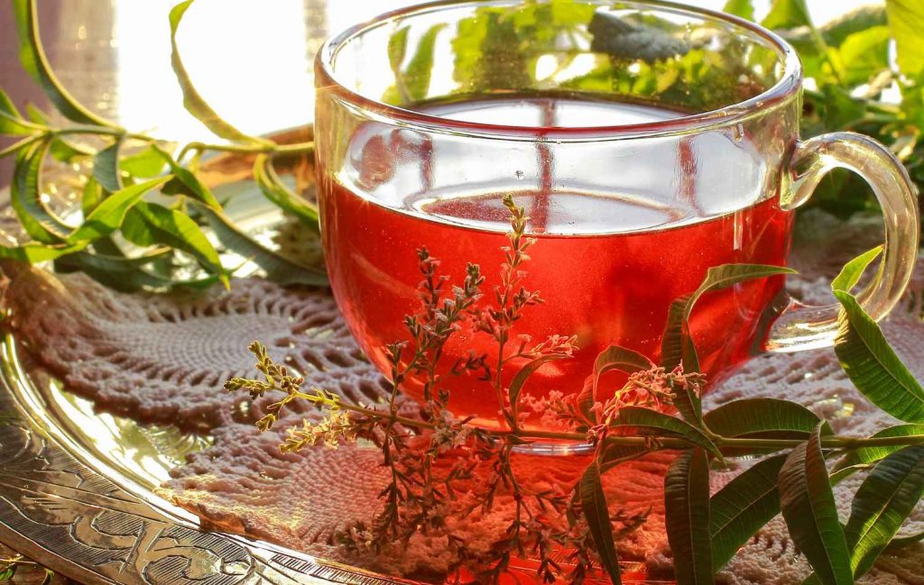 חליטות תה צמחים